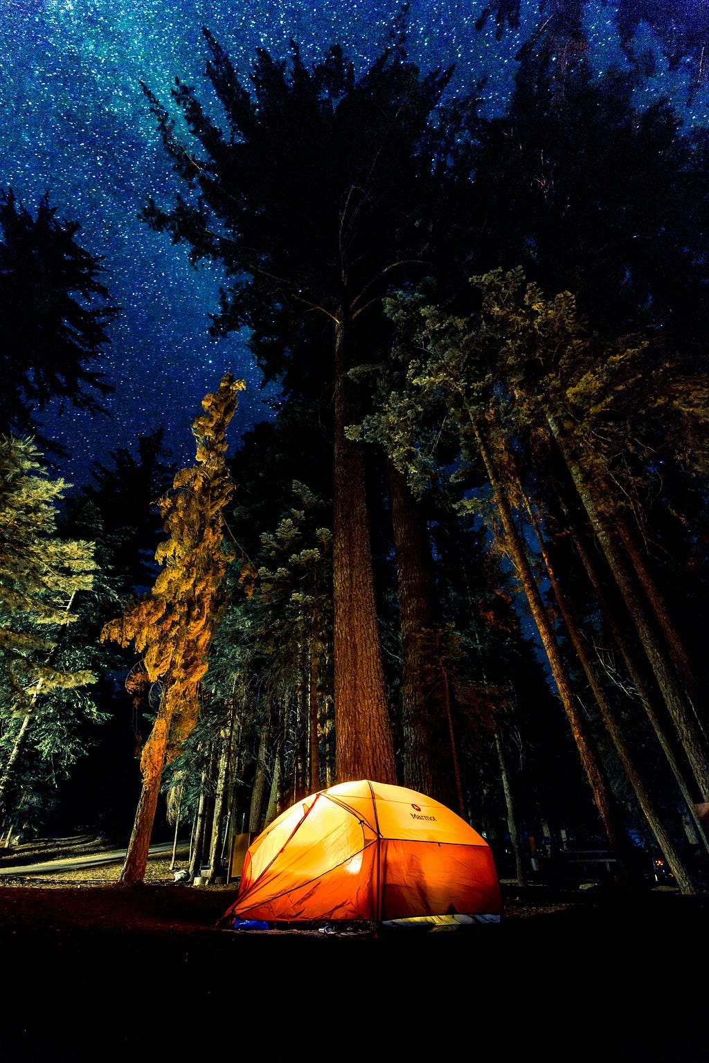 A tent beneath tall trees and the night sky with stars. Photo by Denys Nevozhai and Unsplash.