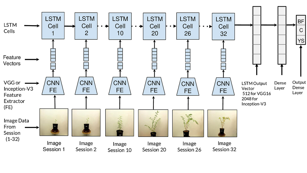 CNN-LSTM architecture used for water stress classification — Before Flowering (BF), Control (C), Young Seedling (YS)