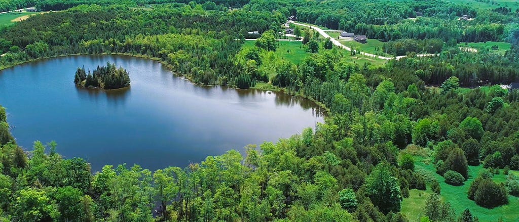 Curleys Lake, Ontario surrounded by trees