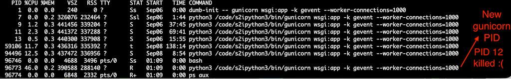 Command line output: Tracing killing the gunicorn worker with PID=12