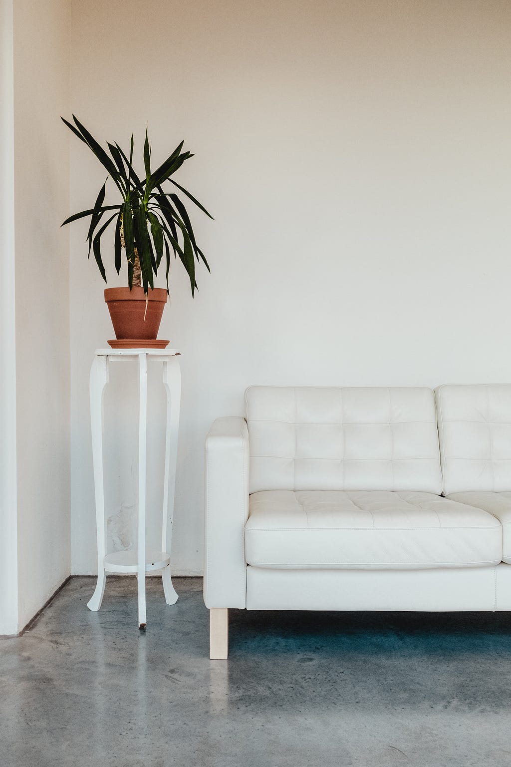 Clean white sofa with potted plant and clean white walls