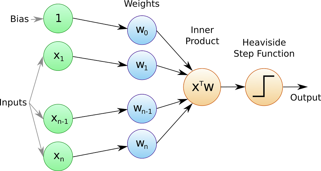 The inputs are x, the weights are w. Each input is multiplied with its corresponding weight and passed through the sum function. The zeroth weight is the bias. The result is then passed through the the activation function. Here, a step function is used as an activation function. This is essentially the structure of every neuron.