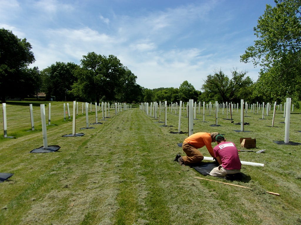 two people work in a field covered in rows of tree support structures