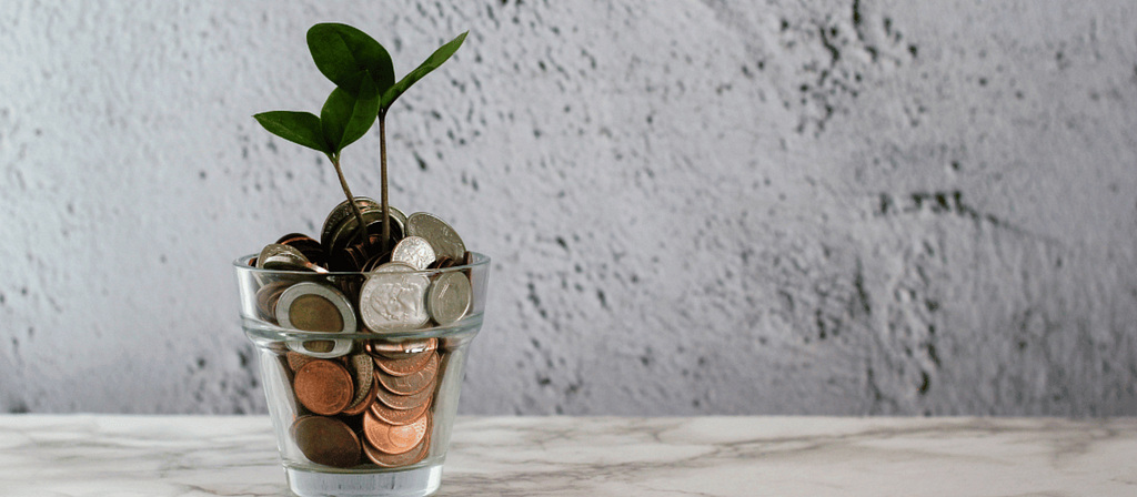 A plant grows out of a jar full of coins