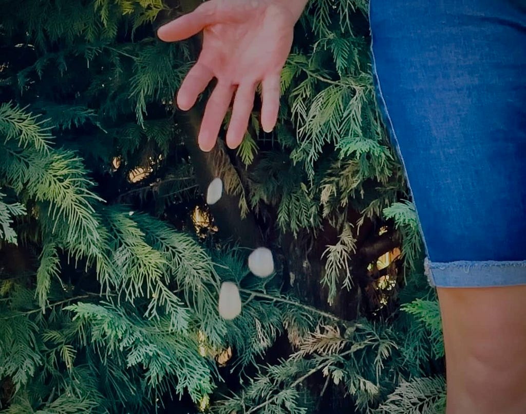 Sue Evergreen is dropping rocks in front of an evergreen tree in “Why Dropping Rocks.”