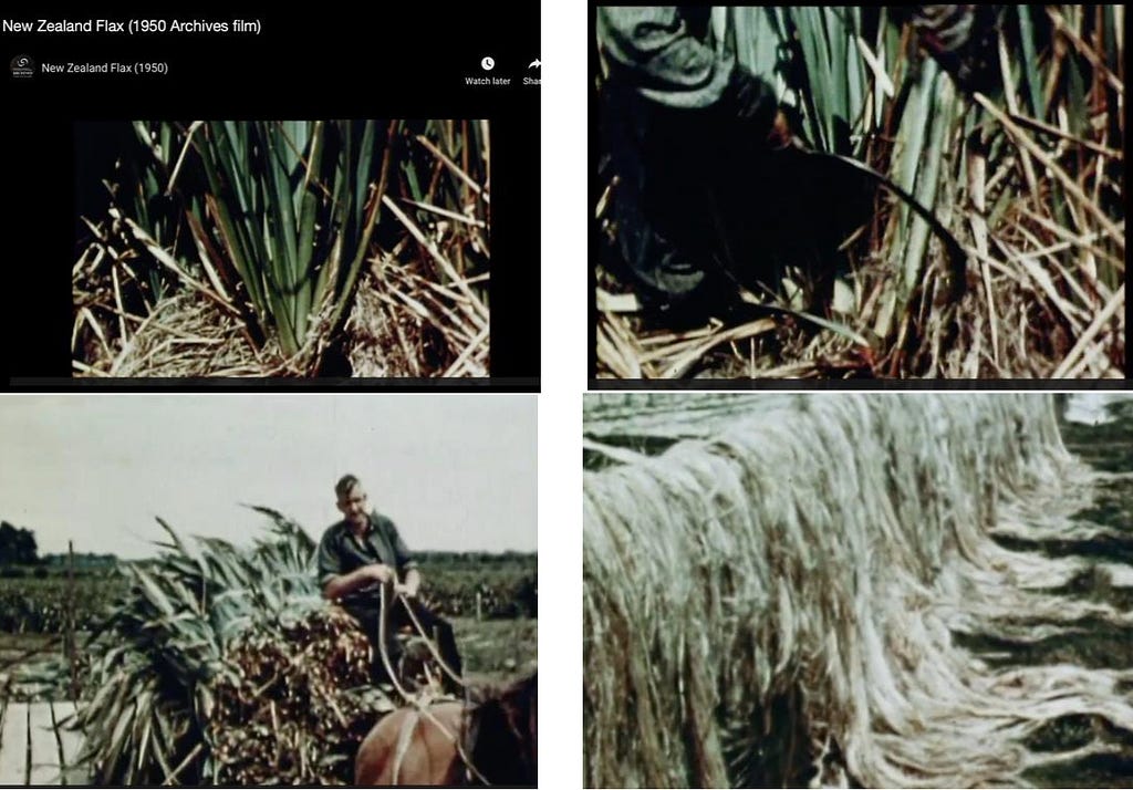 2.2. New Zealand Flax Industry (1990) film