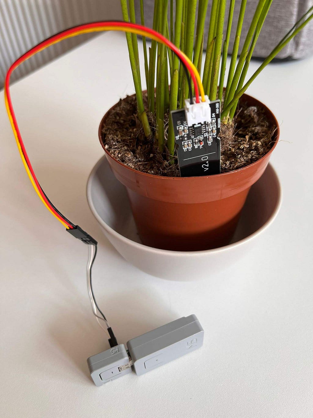 A photo of the finished project, showing the sensor inside an araca palm plant, with the M5Atom TailBat used for power