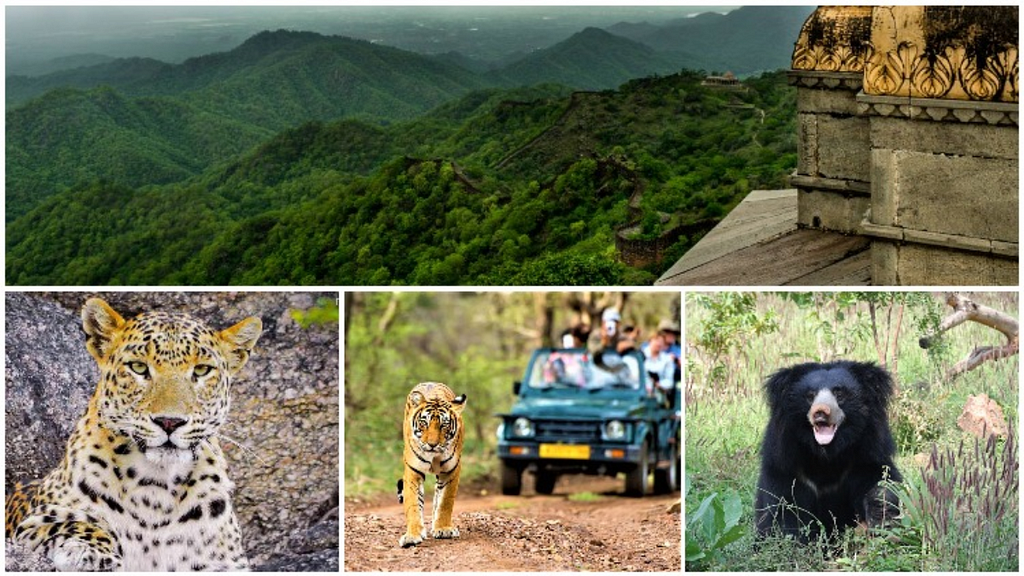 kumbhalgarh wildlife Sanctuary