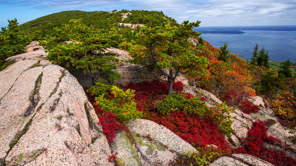 trails in Acadia National Park