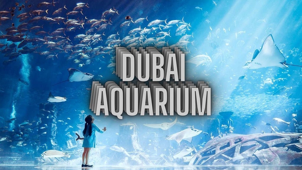 Dubai Aquarium and Underwater Zoo Tickets