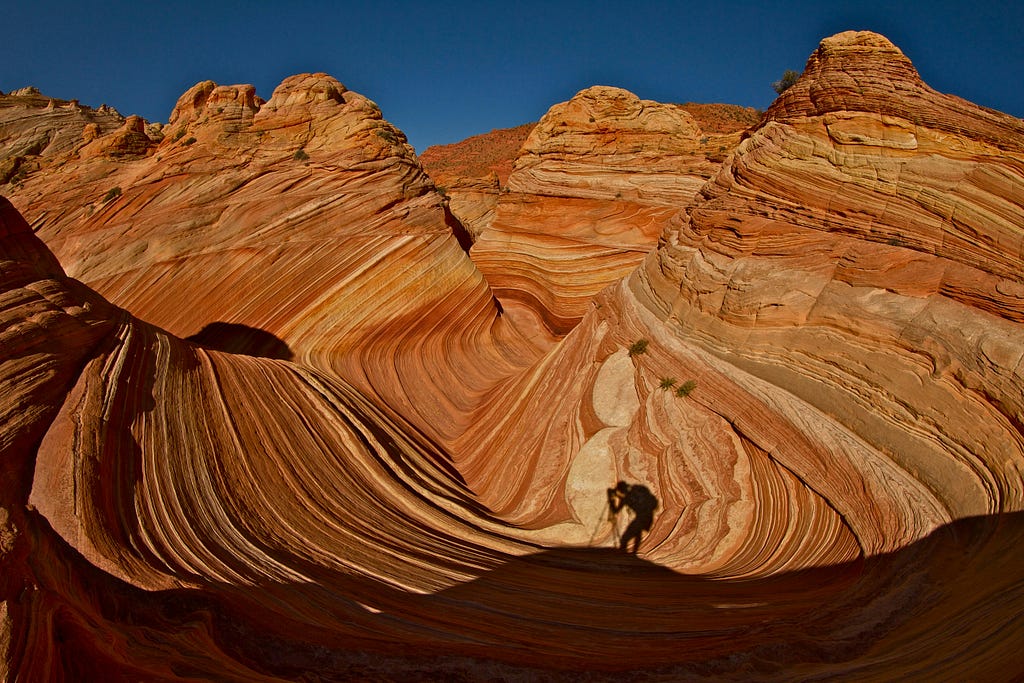 A photographer’s shadow on the dry, arid landscape. Image courtesy Stephen Leonardi on Pexels