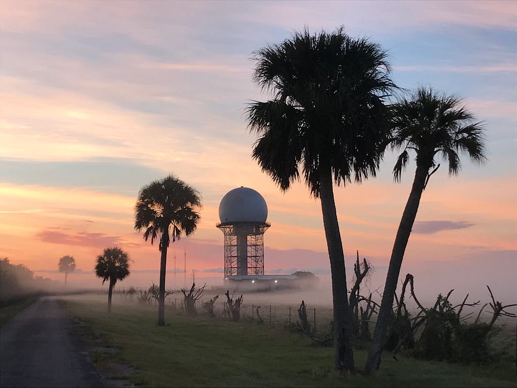 an air traffic control tower and palm trees