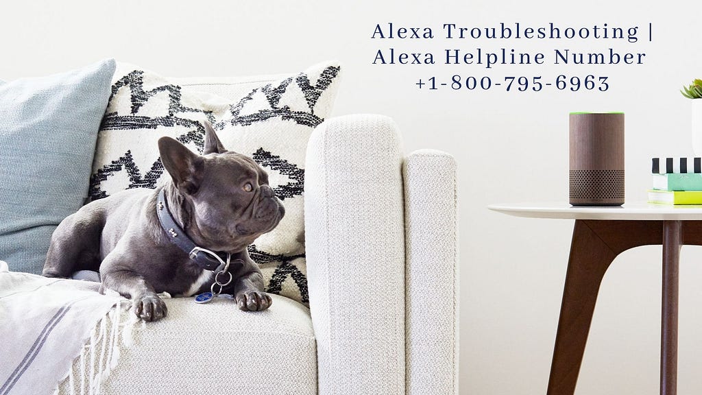 Alexa Troubleshooting