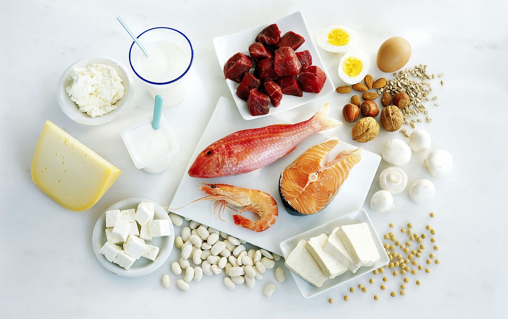 high protein diet for weight loss