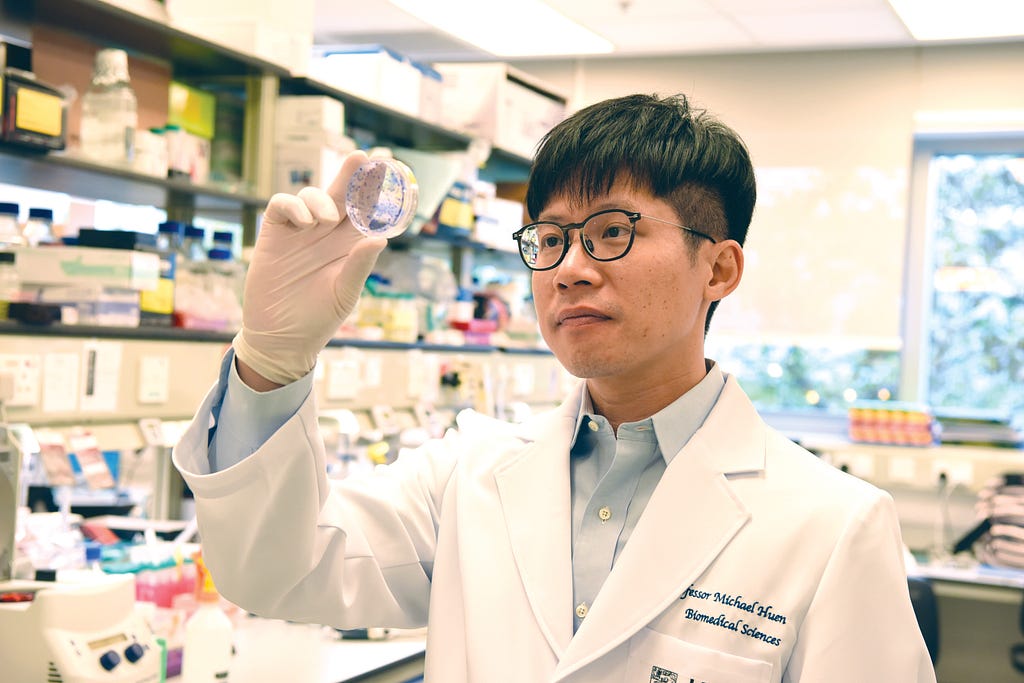Professor Michael Huen Shing-yan at The University of Hong Kong’s School of Biomedical Sciences, looks at a DNA specimen.