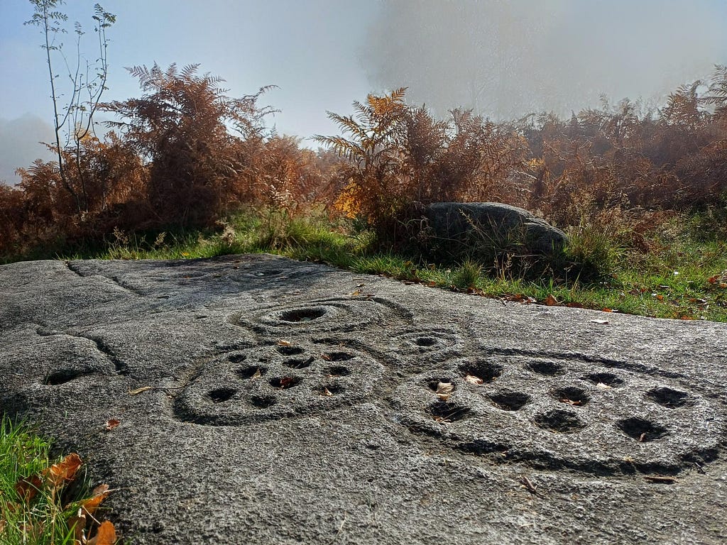 A flat grey stone amongst bronze-coloured ferns. The rock has cup and ring carvings; 4 interconnected circles. 2 of the carved circles each have 10 small cup-like holes carved into them. THe other rings have carved inner rings.