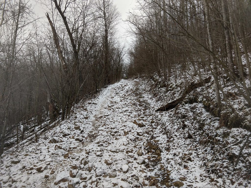 Snowy trail