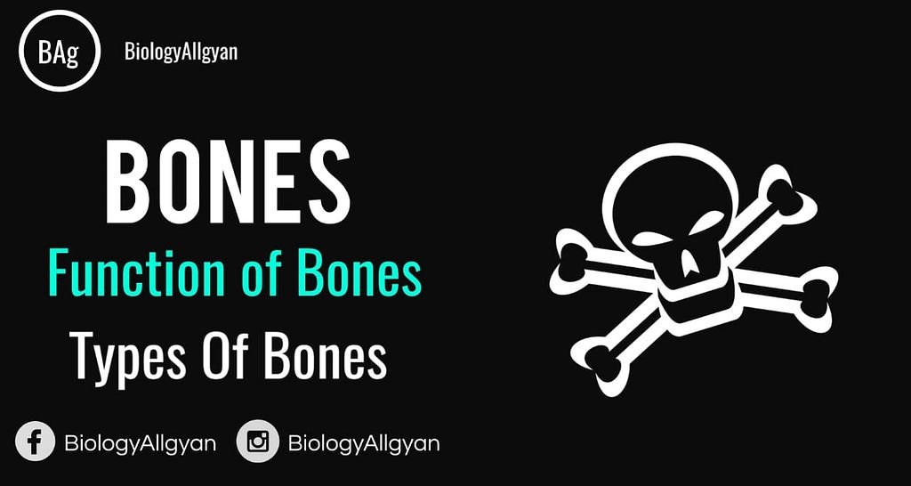 Bones: Osteology is the study of bones and teeth.Osteology is usually applied in fields of anthropology, forensic and archaeo