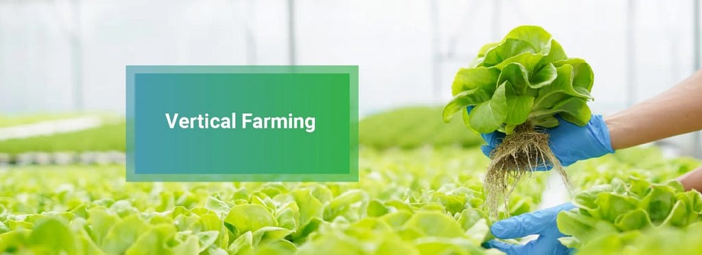 Vertical Farming in India
