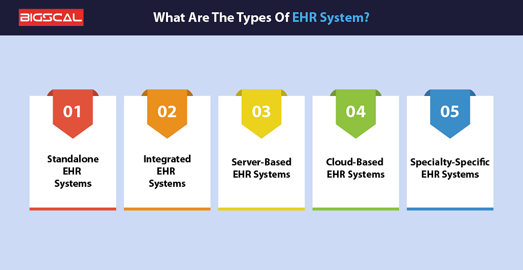 What Are The Types Of EHR Software?