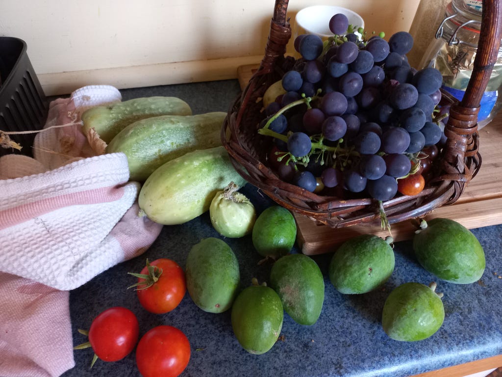 Tomatoes, cucumbers, feijoas and grapes in a basket sit on a kitchen bench.