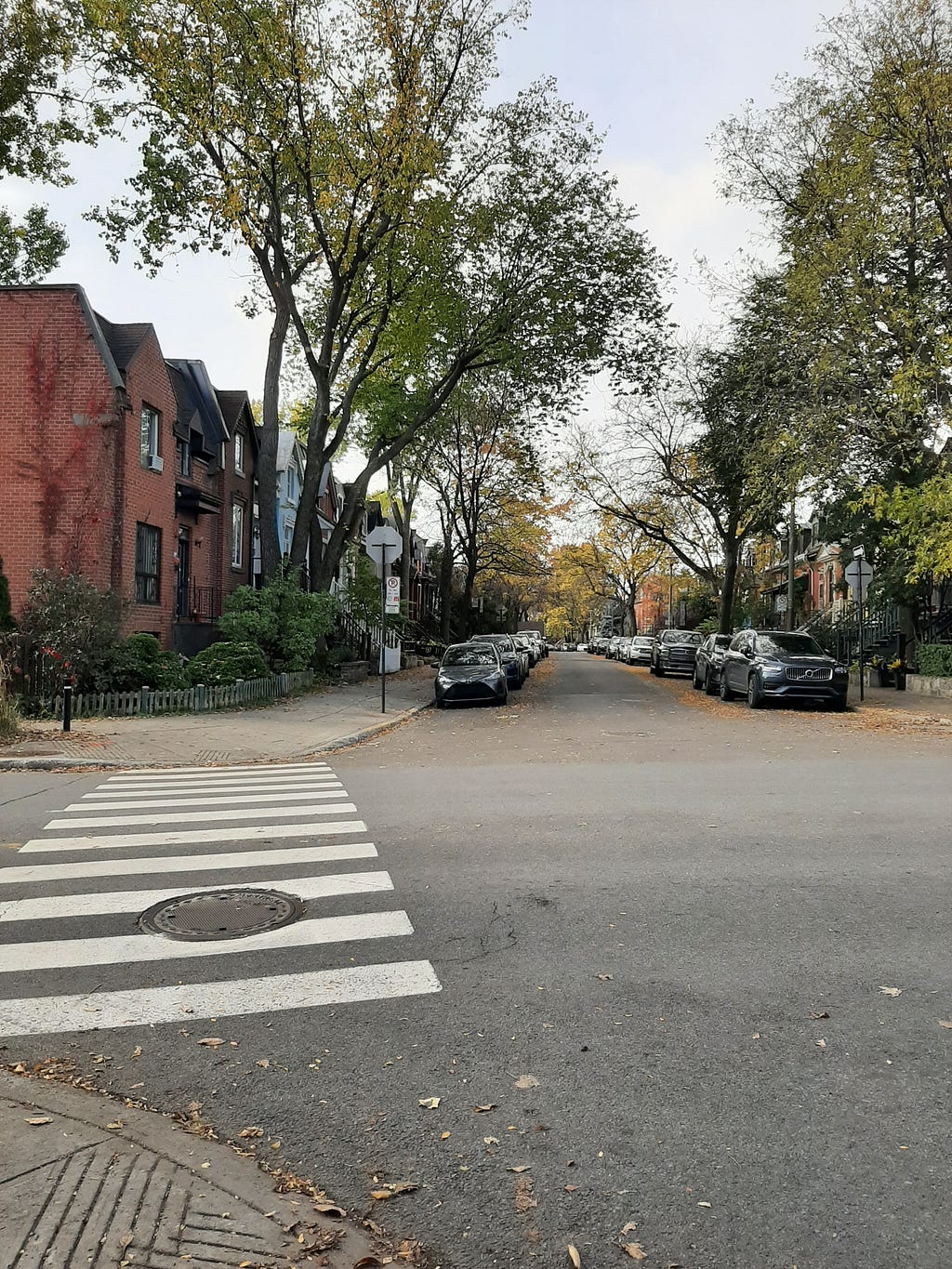 A street view in Griffintown Montreal. There is a crosswalk, cars parked along the street, a brick house and lots of fall leaves.
