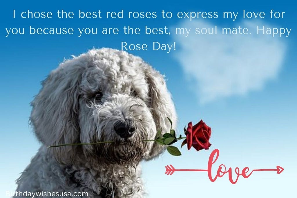 A cute dog holding a rose and love quote