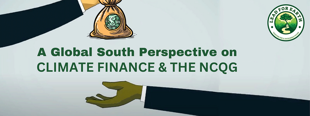 COP29: A Global South Perspective on Climate Finance and the NCQG