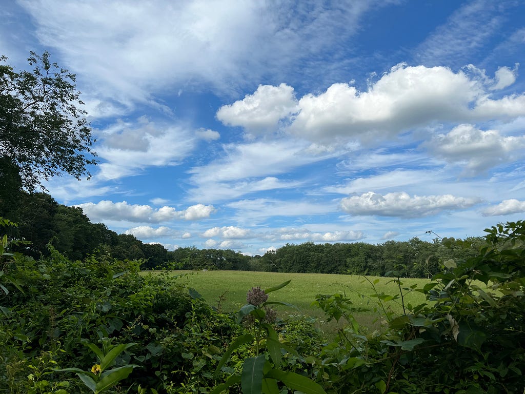 Photo of a connecticut field, bounded by woodlands, with billowing clouds overhead.