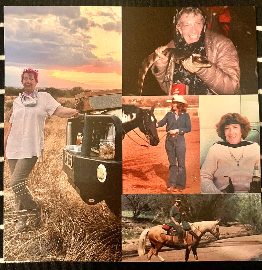 Color collage squared photo of five images of the author’s cousin “Tutu” O’Hara Fleming from her years alive. Showing her pink and purples hair at sunset leaning against the front of a jeep on Safari in the African bush; her in a leather jacket cracking a huge smile holding a live crocodile with both hands; her in a pretty white long-sleeved sweater, necklace, and donning a visor beaming beautifully at the camera; and two horse photos of her petting one’s head and one of her riding.