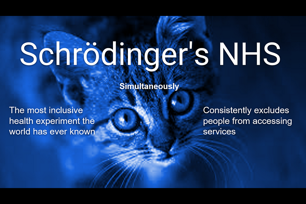 A slide with a picture of a cute cat. The test says ‘Schrodingers NHS simulatneously the most inclusive health experiment the world has ever known and consisistently excludes people from accessing services