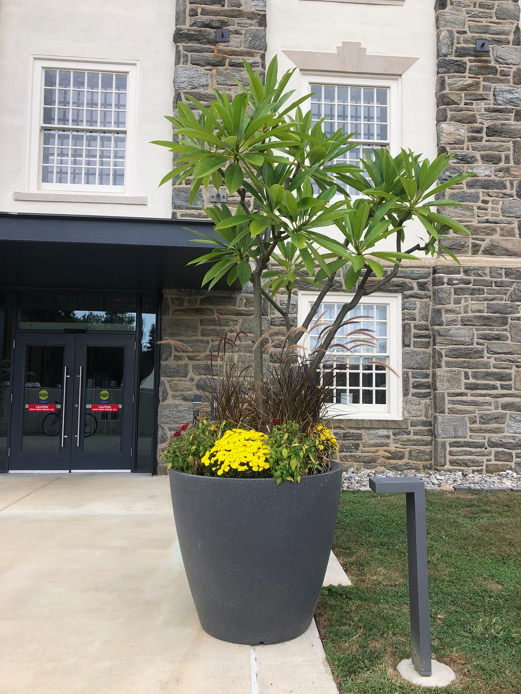 Full view of the planter taken on October 6th 2019