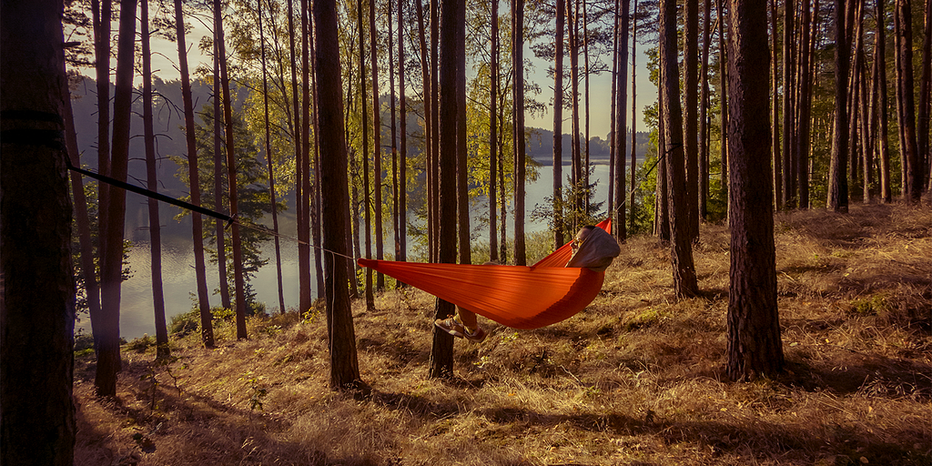 Forest, guy in hammock during sunrise