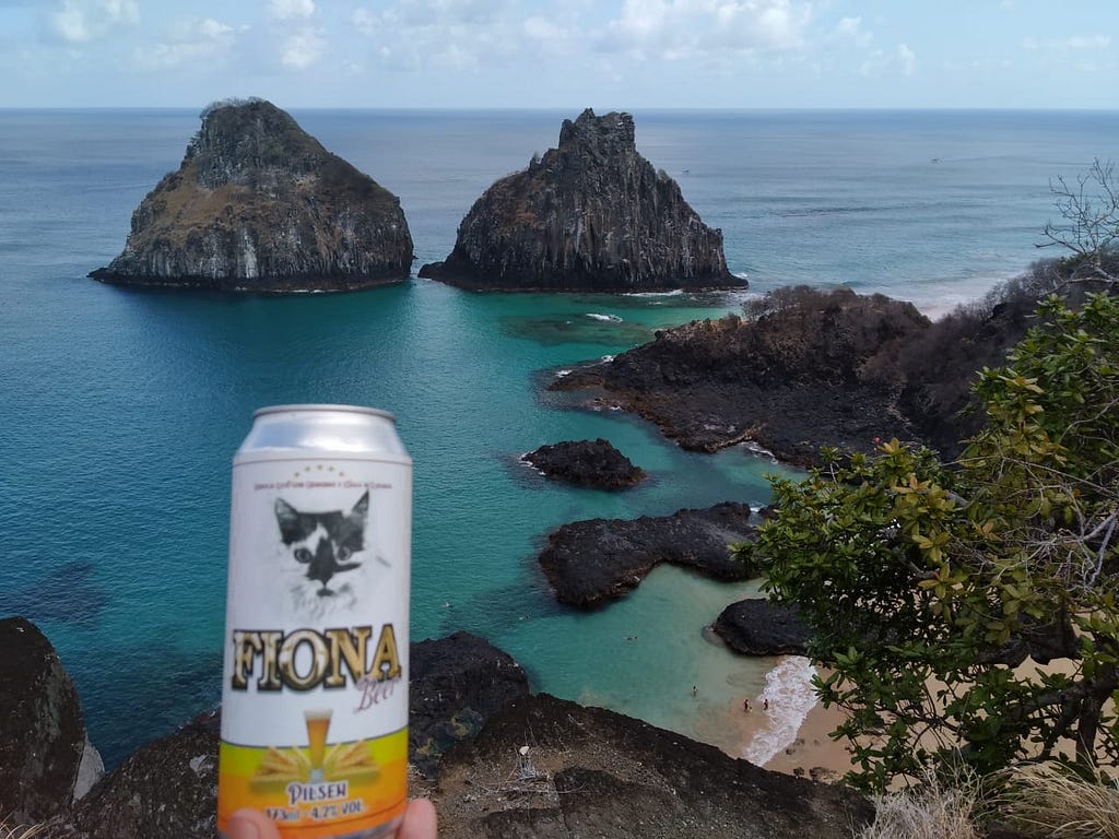 A Fiona foi dar um pulinho em Noronha, mas atenção, o consumo de bebida alcoólica não é permitida no parque nacional.