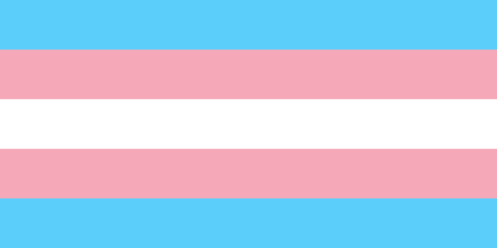 Bandeira que representa a identidade transgênero; listras horizontais nas cores azul, rosa, branco, rosa e azul, nesta ordem.