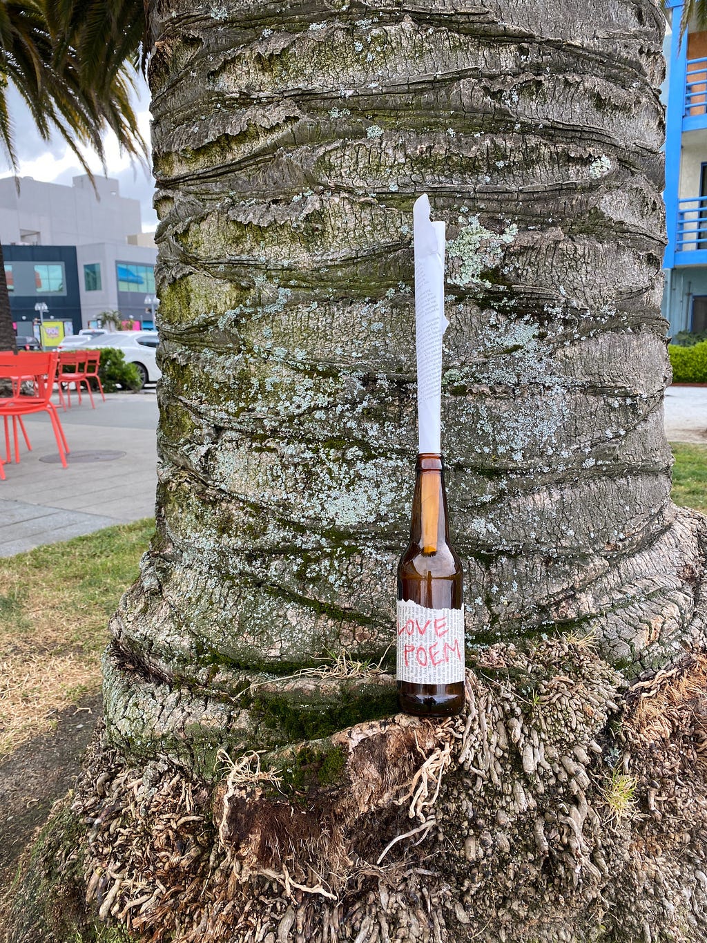 love poem in bottle next to palm tree