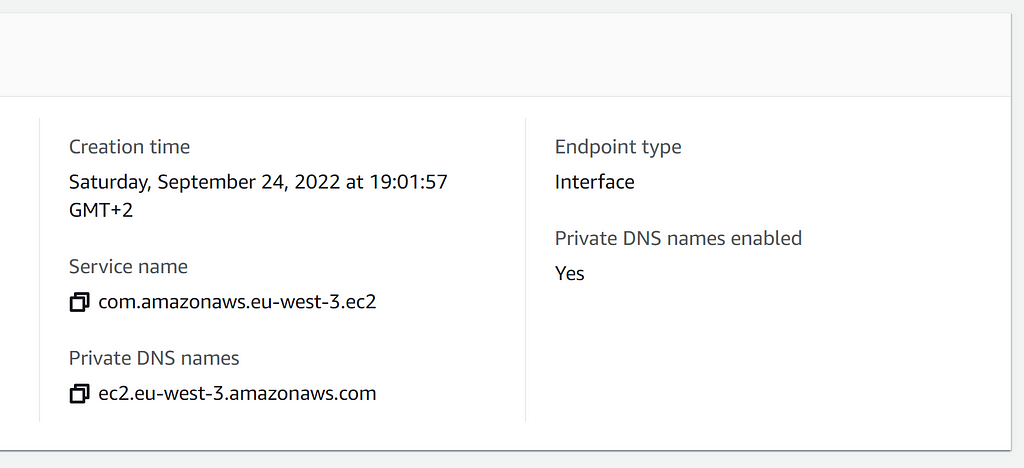 Endpoint Private DNS Name