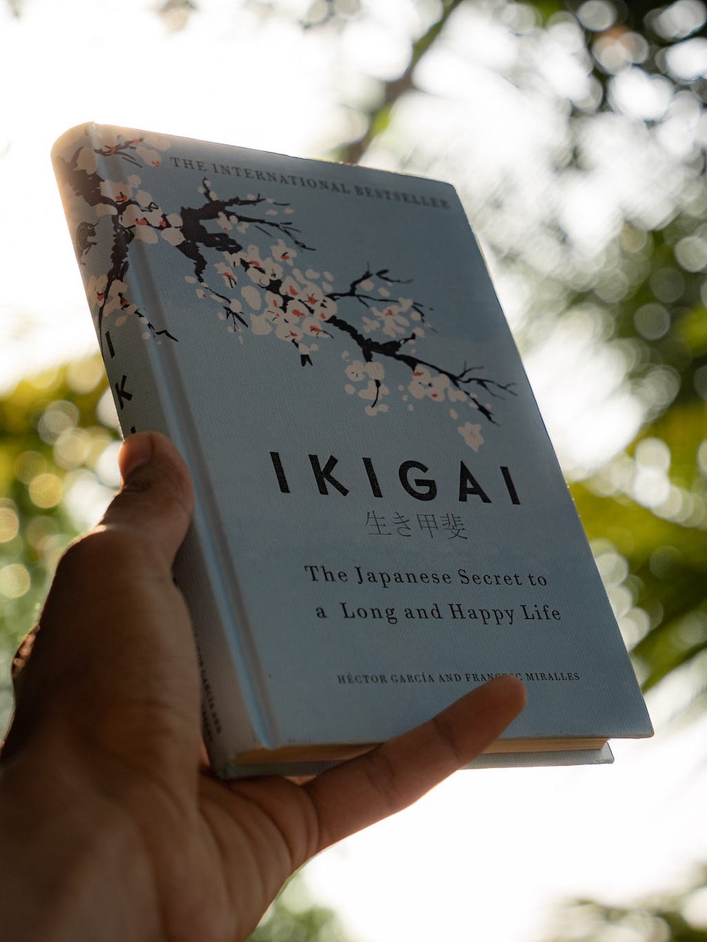 Book about Japanese concept of ikigai