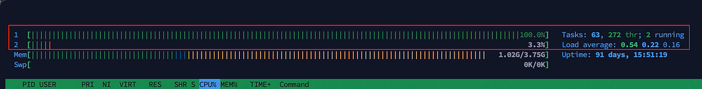 CPU usage during the load test execution.