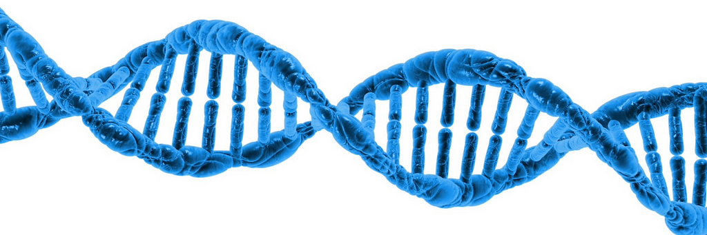 A DNA strand