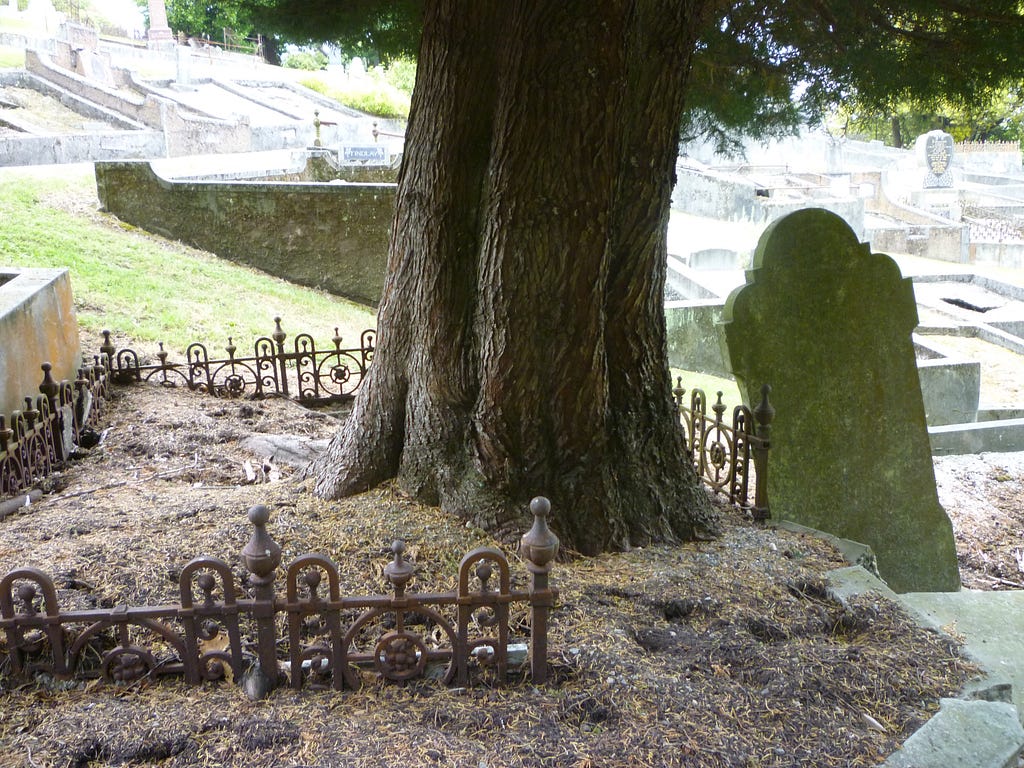A large tree is growing from a grave, the fence has been broken and a tombstone is displaced leaning on an angle.