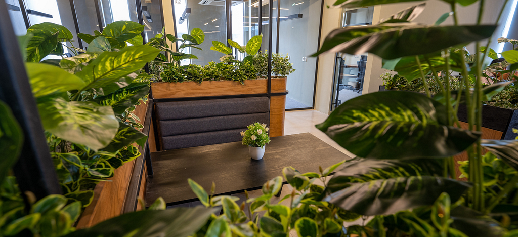 A workspace surrounded by plants and greenery at Daftarkhwan | One.