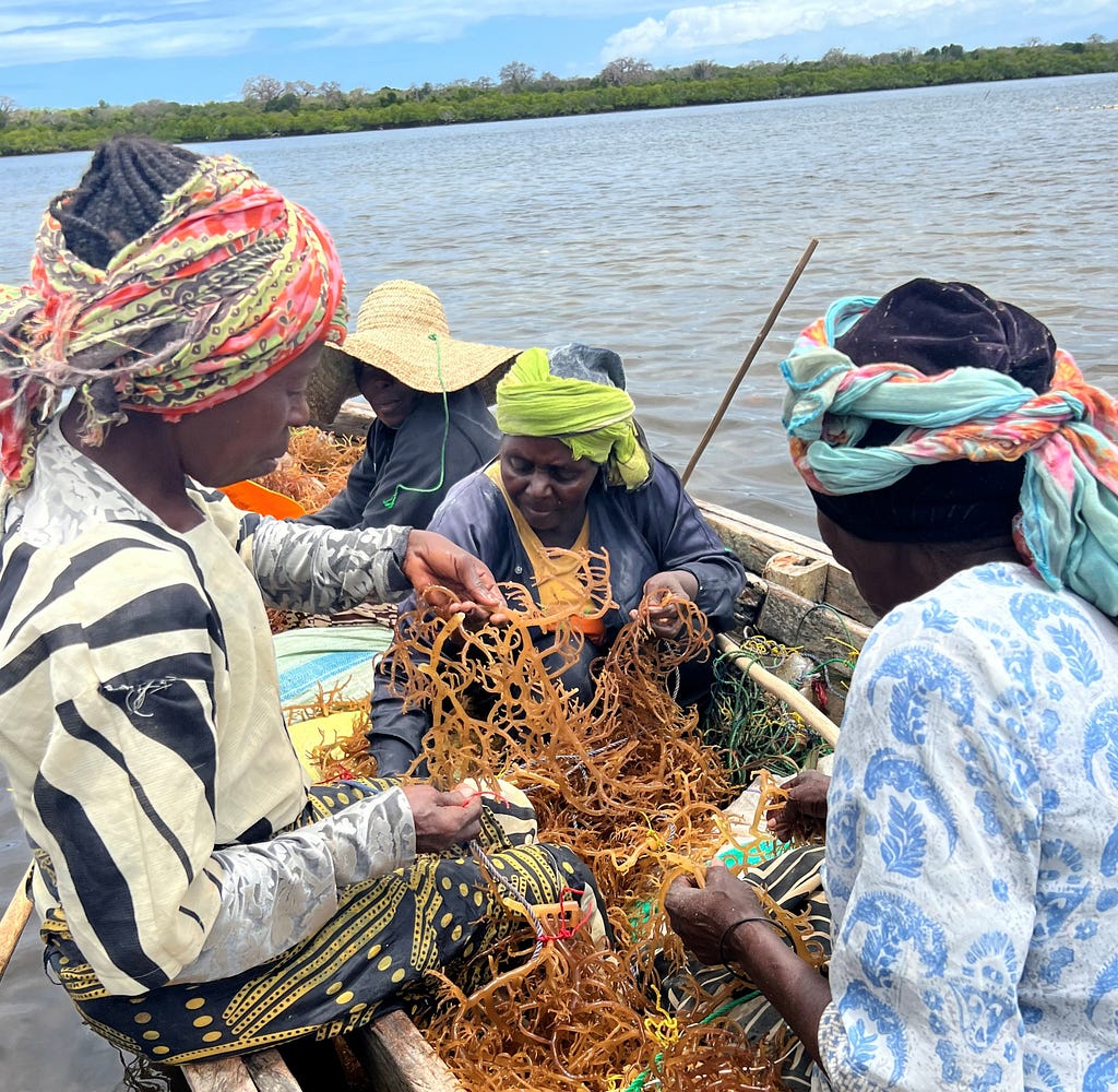 Three women seaweed farmers sort seaweed on board a small boat.