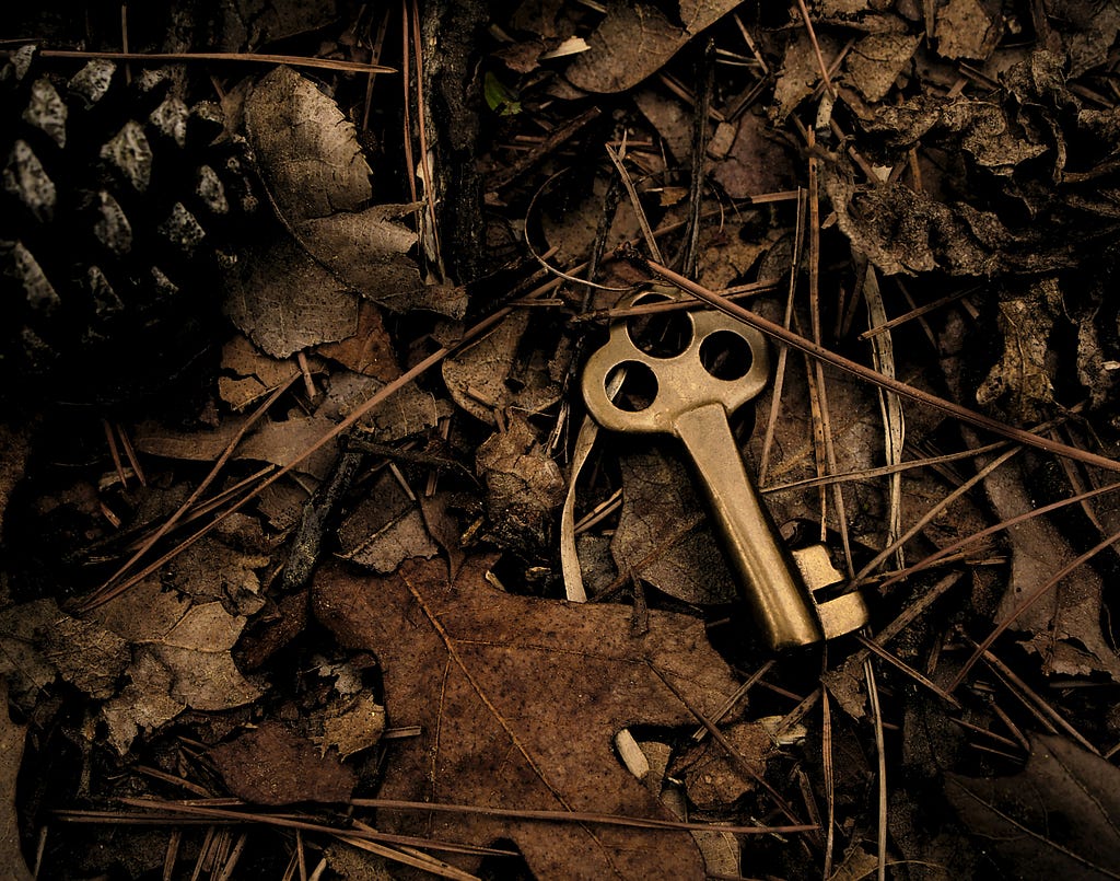 An ornate old bronze key lies on the path, partially covered by the litter of leaves, twigs and pine cones. Is this the key that could unlock spiritual growth?