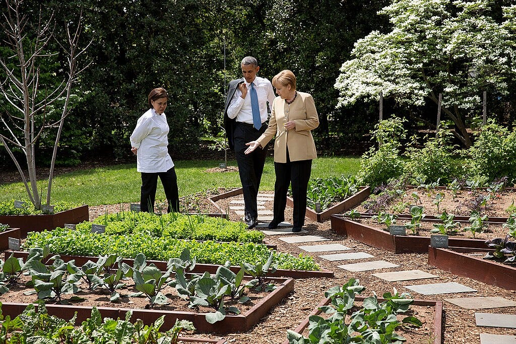 U.S. President Barack Obama and German Chancellor Angela Merkel walk through a vegetable garden