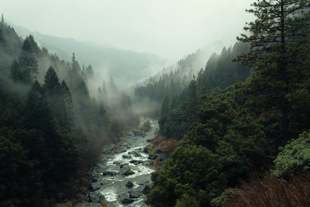 A river flowing amidst tall trees in a misty mountain.
