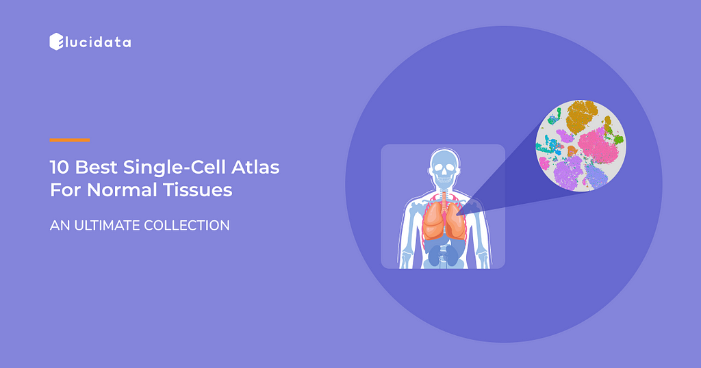 Top 10 Latest Single-cell Atlases for Normal Tissues