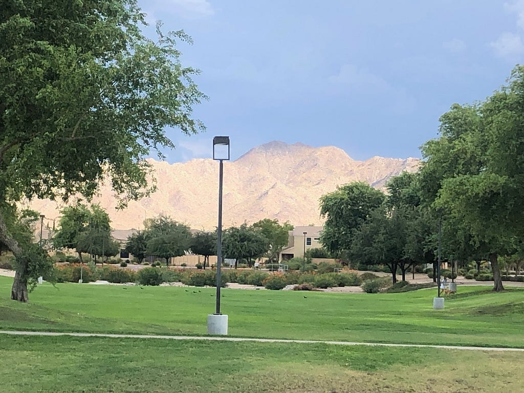 A suburban park with green grass and a sunlit desert mountain looming over it.