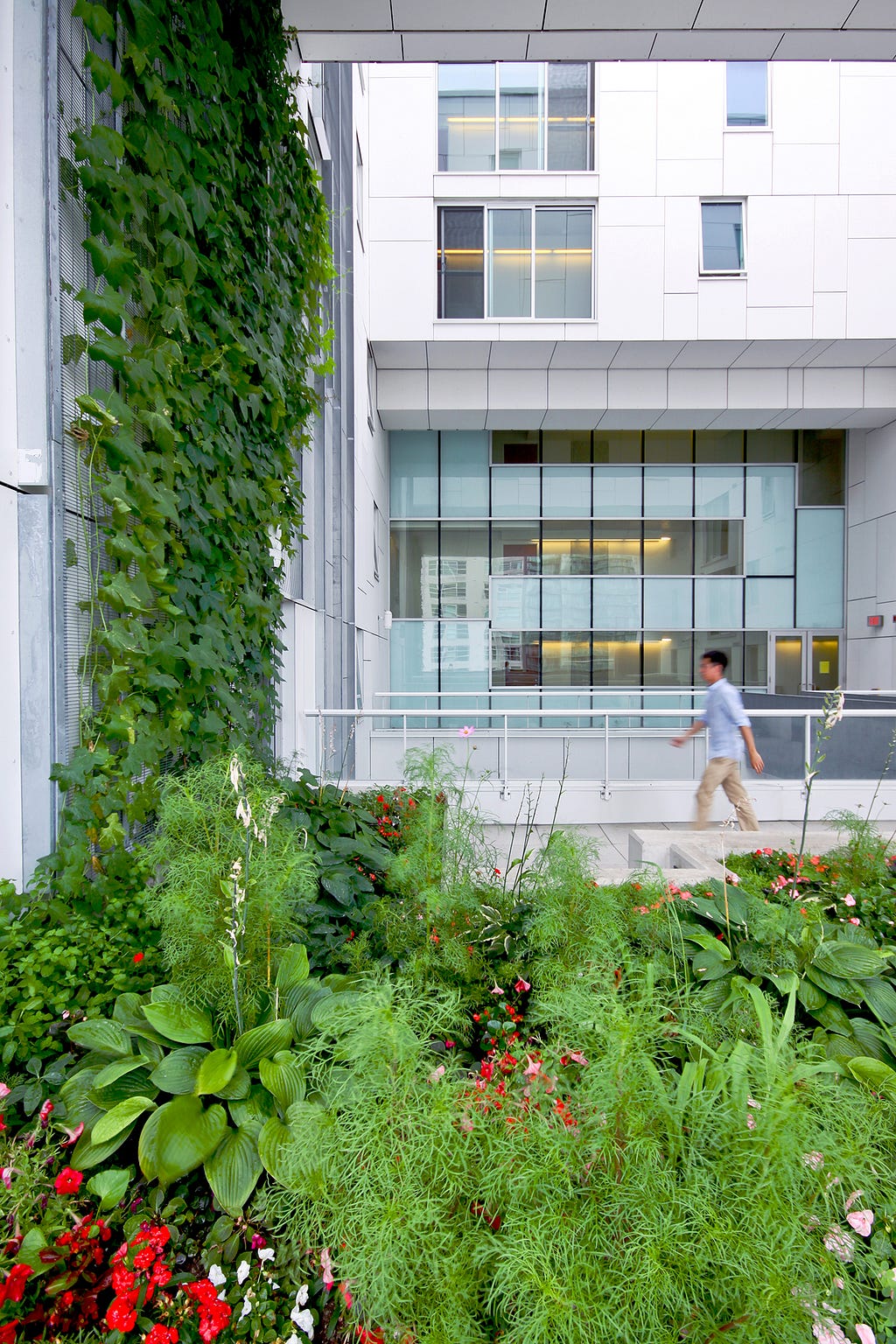 60 Richmond Street East Green Walls