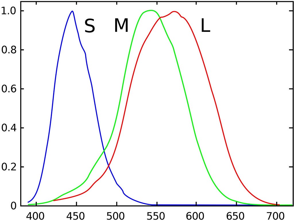 Cone cell sensitivity to light wavelengths. Three type of cone cells are show: S, M, L. S-cells are sensitive to blue, M to green and L to red.